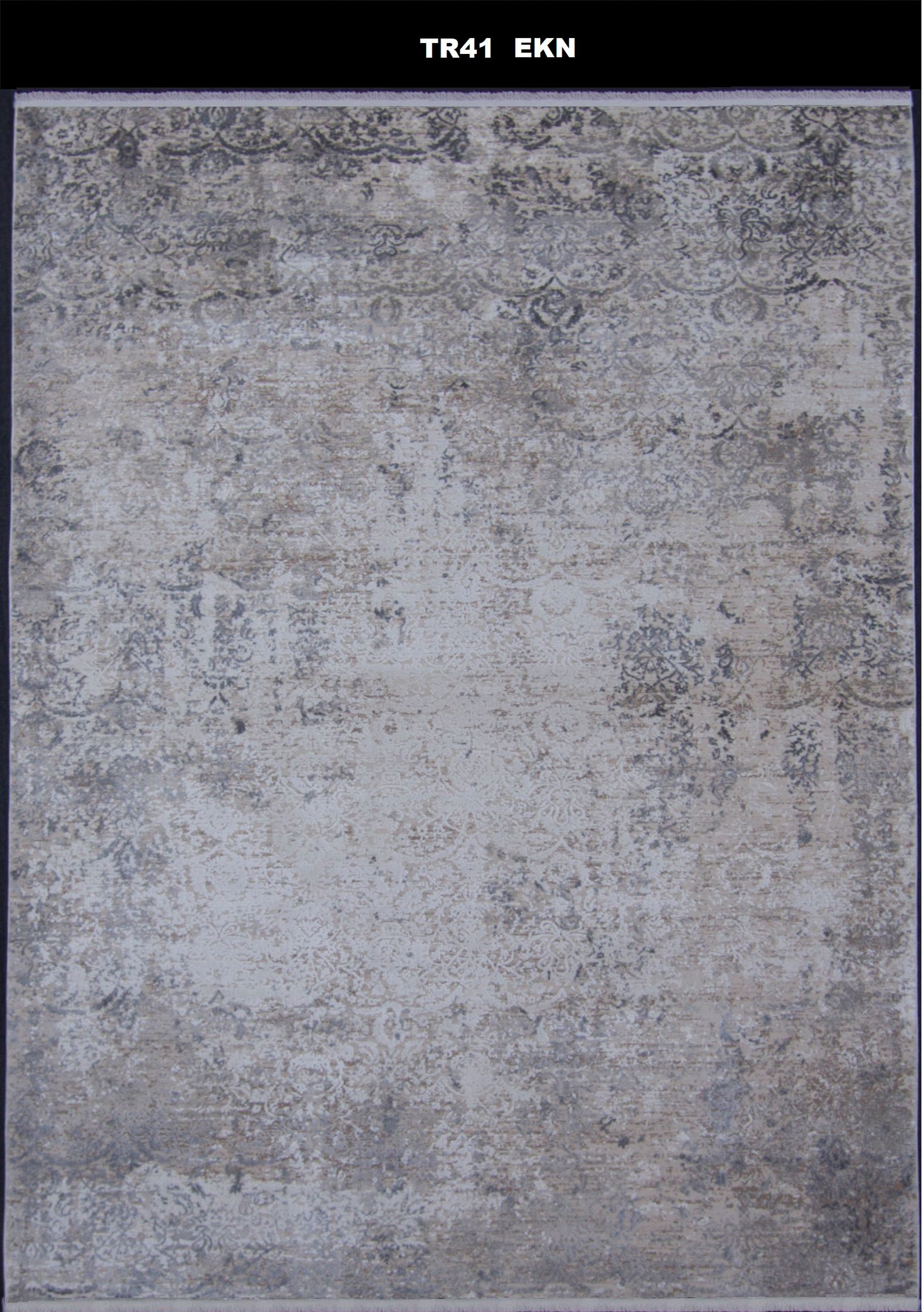 TR41 EKN