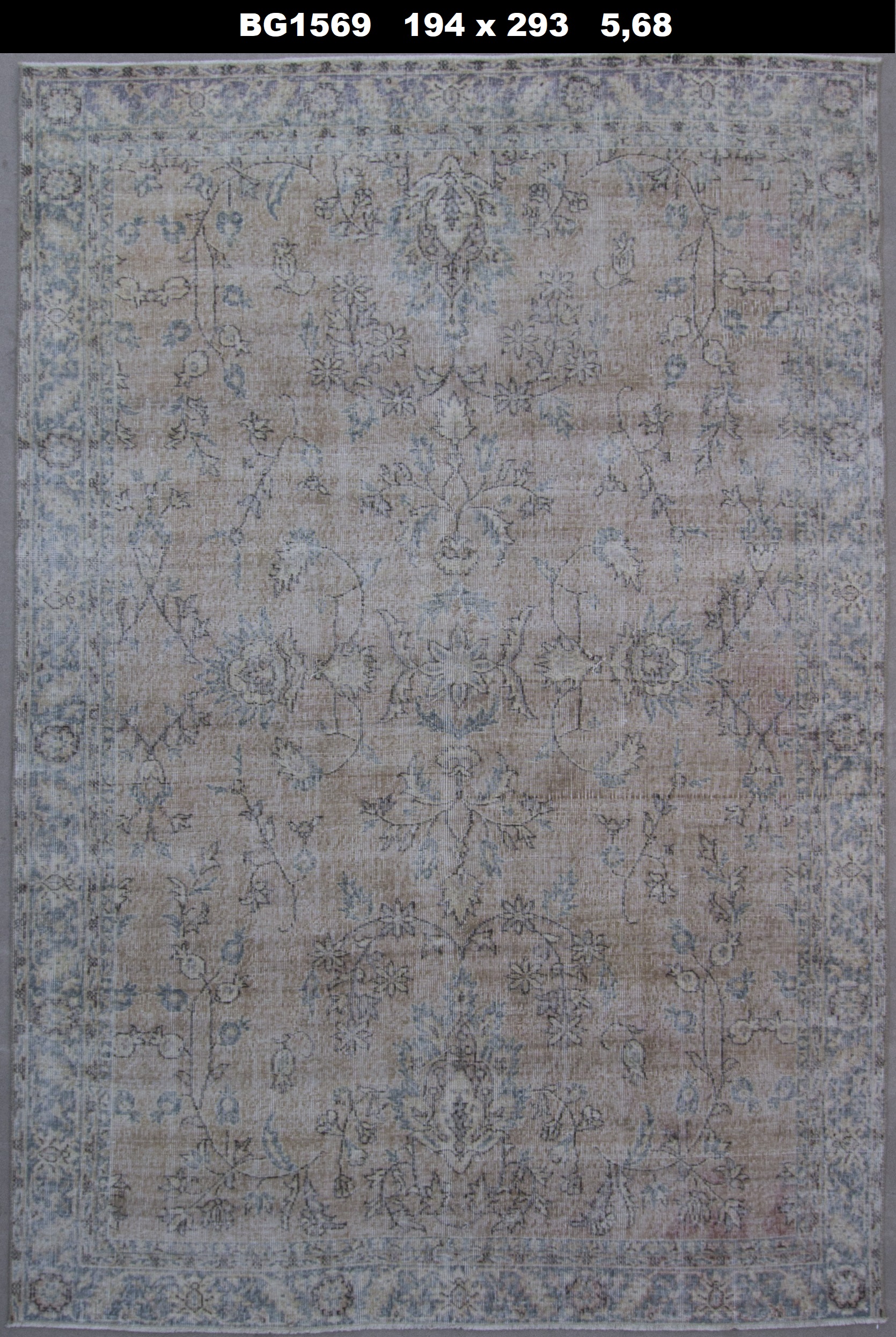  BG1569-1'94'x2'93' (568 Sq.Meter)